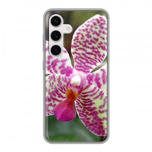 Дизайнерский пластиковый чехол для Samsung Galaxy S24 Орхидеи