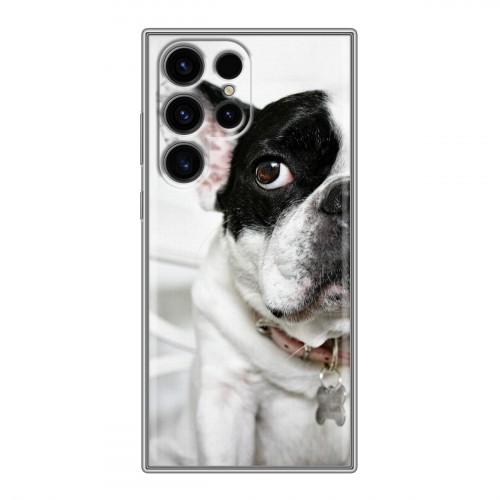 Дизайнерский пластиковый чехол для Samsung Galaxy S24 Ultra Собаки