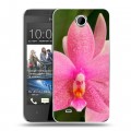 Дизайнерский силиконовый чехол для HTC Desire 300 Орхидеи