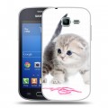 Дизайнерский пластиковый чехол для Samsung Galaxy Trend Lite Котята