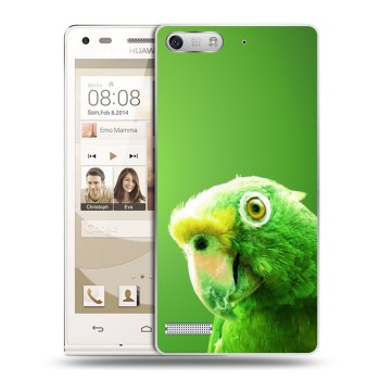 Дизайнерский силиконовый чехол для Huawei Ascend G6 Попугаи (на заказ)