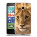 Дизайнерский пластиковый чехол для Nokia Lumia 630/635 Львы