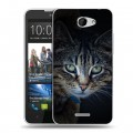 Дизайнерский пластиковый чехол для HTC Desire 516 Кошки