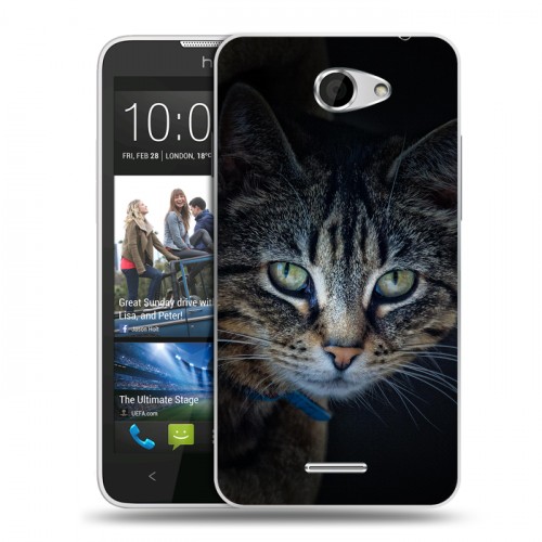 Дизайнерский пластиковый чехол для HTC Desire 516 Кошки