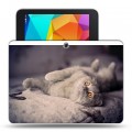 Дизайнерский силиконовый чехол для Samsung Galaxy Tab 4 10.1 Кошки