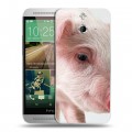 Дизайнерский пластиковый чехол для HTC One E8 Свинки