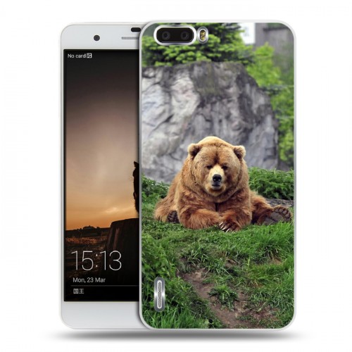 Дизайнерский пластиковый чехол для Huawei Honor 6 Plus Медведи