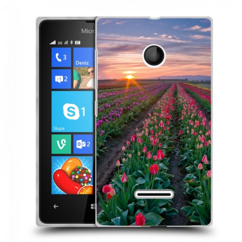 Дизайнерский пластиковый чехол для Microsoft Lumia 435 Тюльпаны