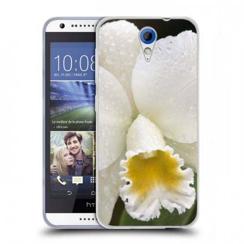 Дизайнерский пластиковый чехол для HTC Desire 620 Орхидеи