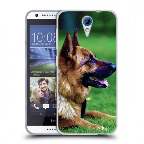 Дизайнерский пластиковый чехол для HTC Desire 620 Собаки
