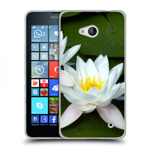 Дизайнерский пластиковый чехол для Microsoft Lumia 640 Кувшинки