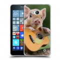 Дизайнерский пластиковый чехол для Microsoft Lumia 640 Свинки