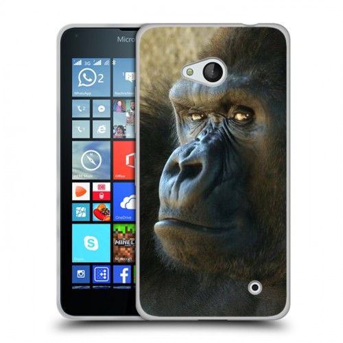 Дизайнерский пластиковый чехол для Microsoft Lumia 640 Обезьяны
