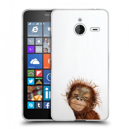 Дизайнерский пластиковый чехол для Microsoft Lumia 640 XL Мятные звери