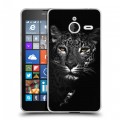 Дизайнерский пластиковый чехол для Microsoft Lumia 640 XL Леопард