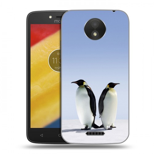 Дизайнерский пластиковый чехол для Motorola Moto C Plus Пингвины
