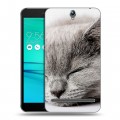 Дизайнерский пластиковый чехол для ASUS ZenFone Go ZB690KG Коты