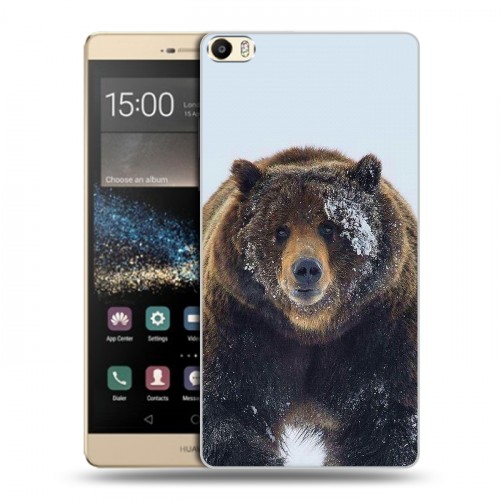 Дизайнерский пластиковый чехол для Huawei P8 Max Медведь