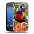 Дизайнерский пластиковый чехол для Samsung Galaxy Trend Lite Попугаи