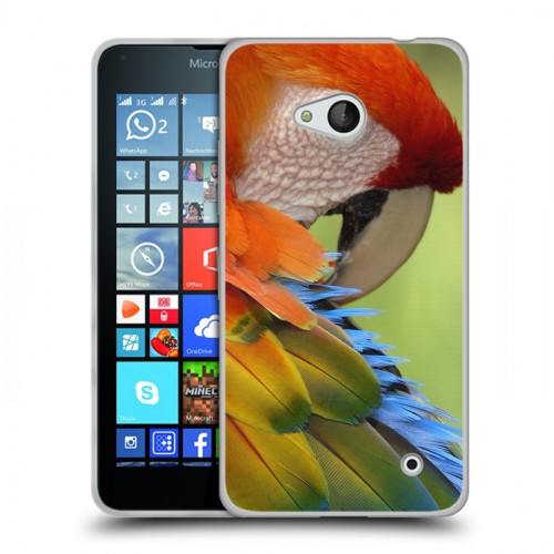 Дизайнерский пластиковый чехол для Microsoft Lumia 640 Попугаи