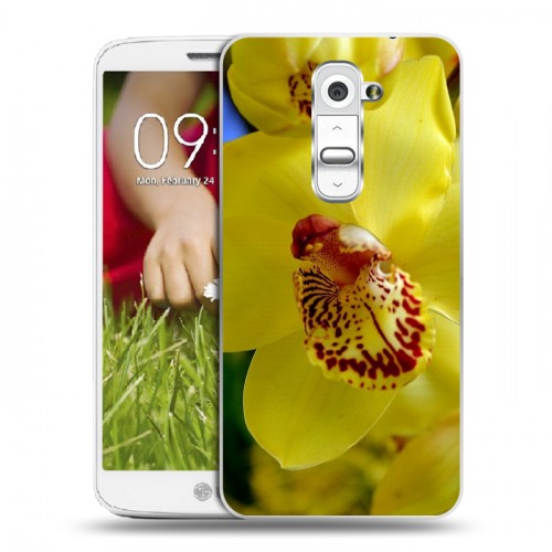 Дизайнерский пластиковый чехол для LG Optimus G2 mini Орхидеи