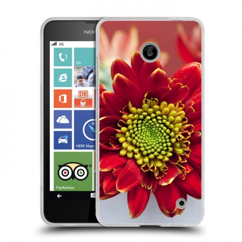 Дизайнерский пластиковый чехол для Nokia Lumia 630/635 Хризантемы