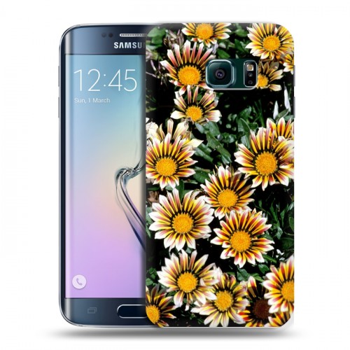 Дизайнерский пластиковый чехол для Samsung Galaxy S6 Edge Хризантемы