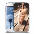 Дизайнерский пластиковый чехол для Samsung Galaxy Grand Котята