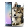 Дизайнерский пластиковый чехол для Samsung Galaxy S6 Edge Собаки