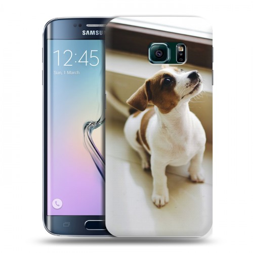 Дизайнерский пластиковый чехол для Samsung Galaxy S6 Edge Щенки