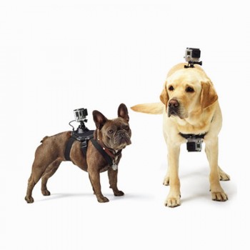 Универсальное регулируемое крепление на животных для экшн-камер GoPro/Xiaomi/DJI/Sony/Insta360