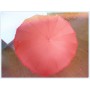 Зонт дизайн Сердце 60 см